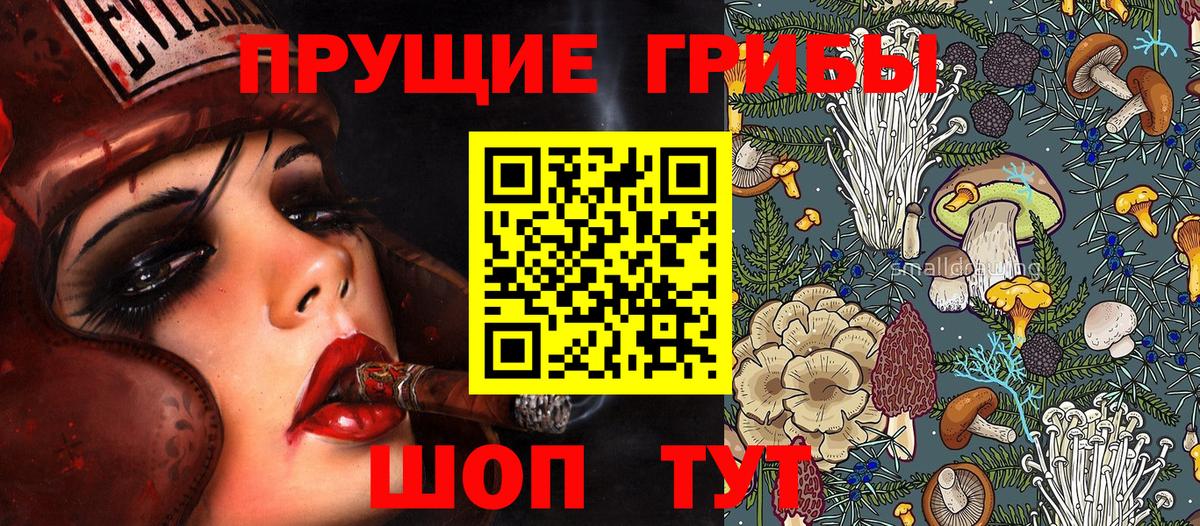 Псилоцибиновые грибы Cubensis Миллерово