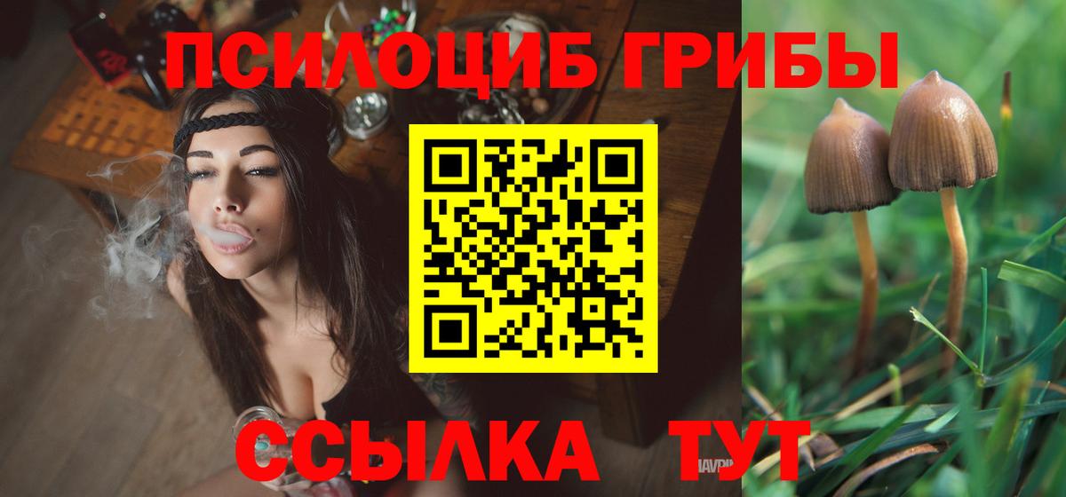 Миллерово  Галлюциногенные грибы Psilocybe  Вход с VPN 