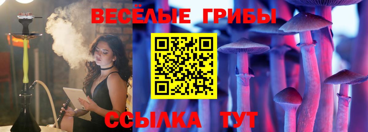  COCAIN Миллерово